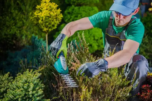 landscaping services Gloria Glens Park